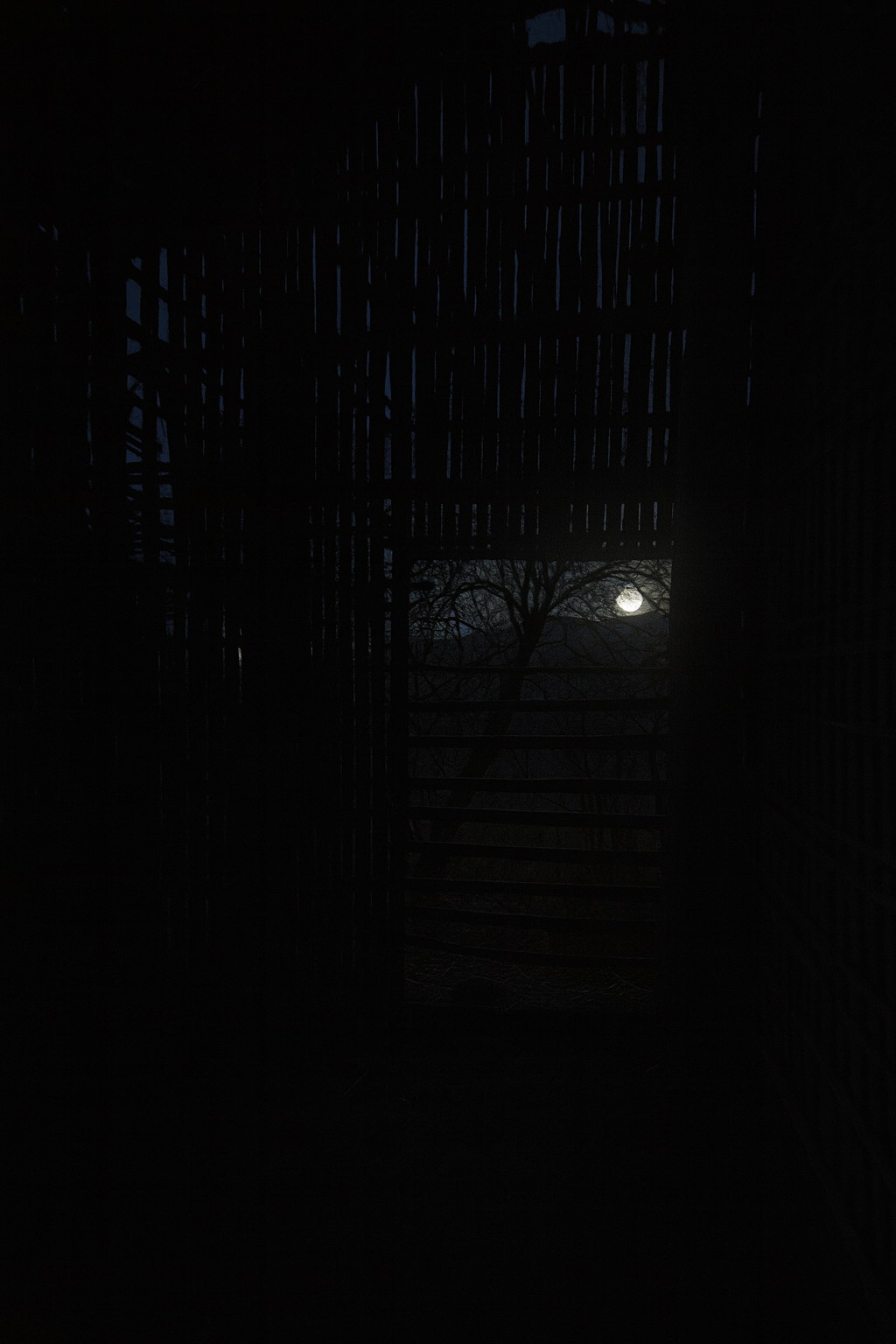 Moonlight through the old barn